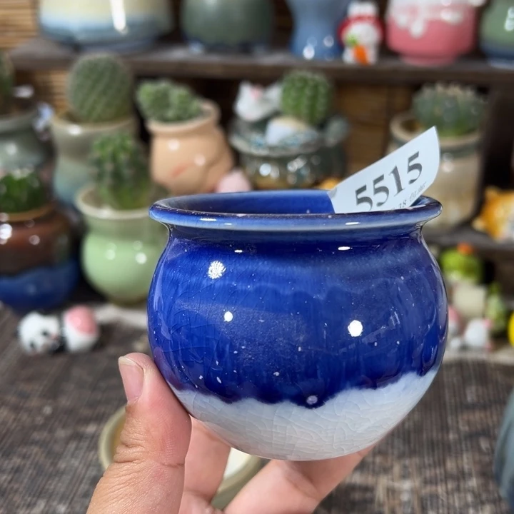 口5 手工花盆满30包邮