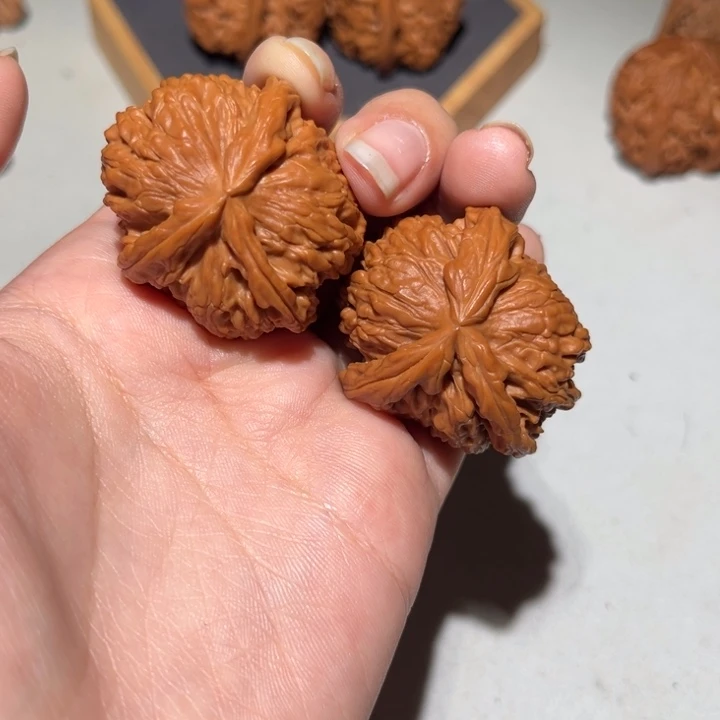 把件文玩核桃白狮子异形