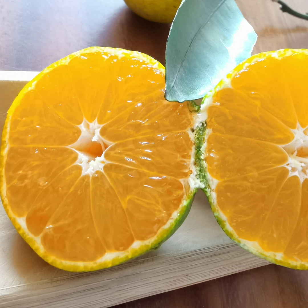 太浮山柑橘当季水果果园直发