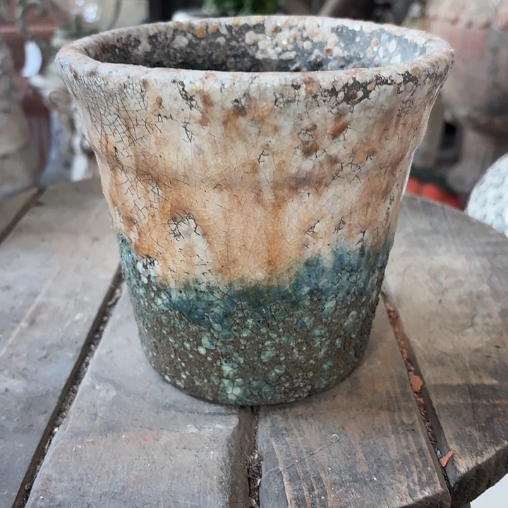 汪***喵许纯的花房孤品 873