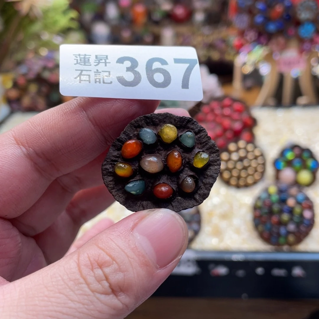 核桃木/黑胡桃（胡桃木）367杆