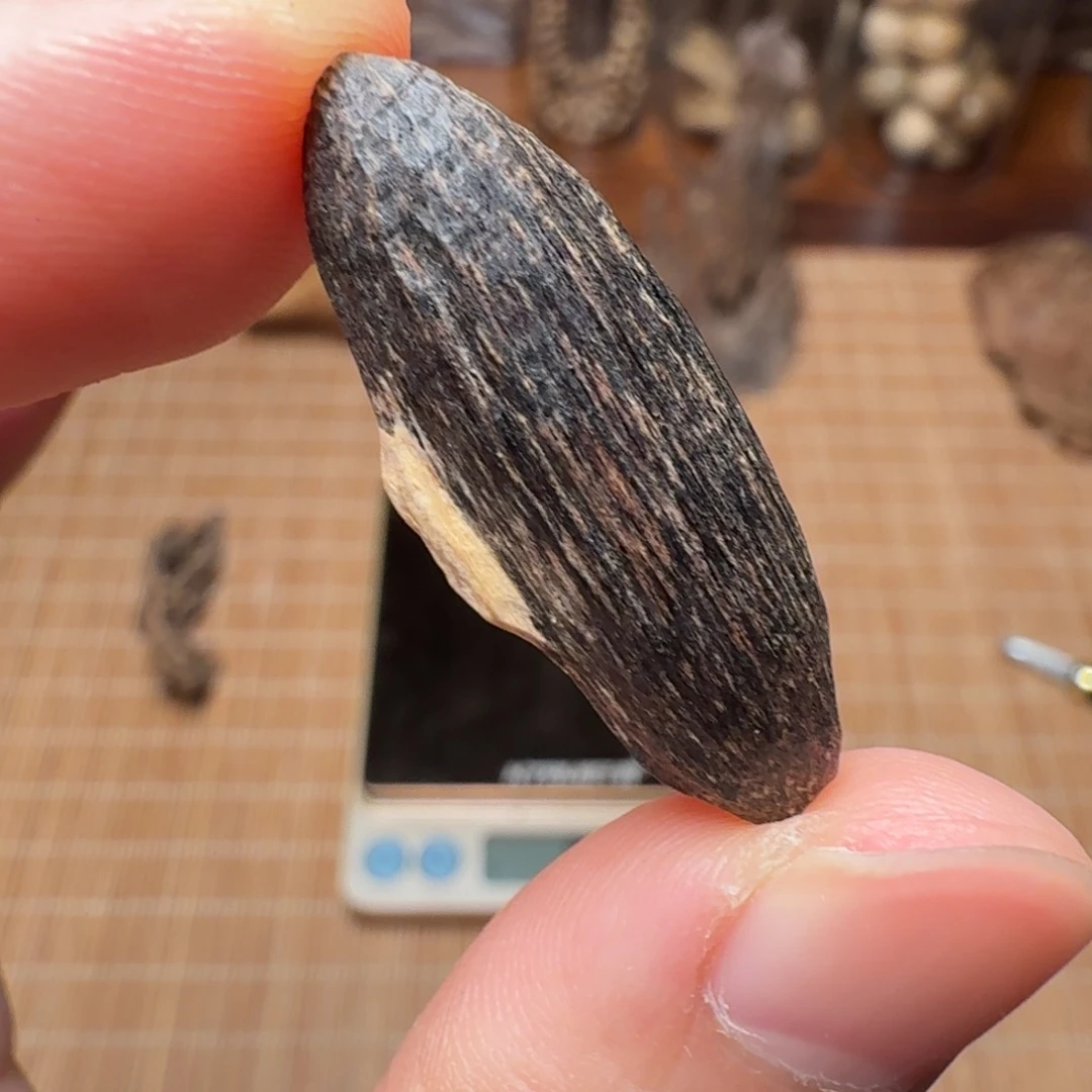 沉香香港大屿山棋韵瓜子