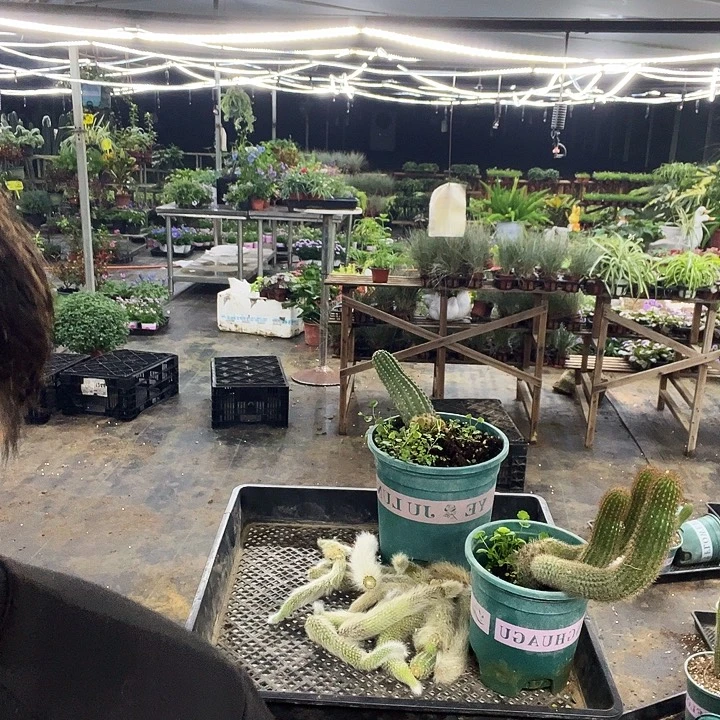 无售后介意勿拍呃呃