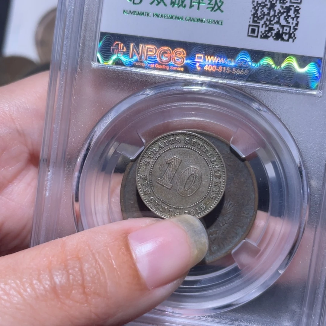 金通今博古木子30