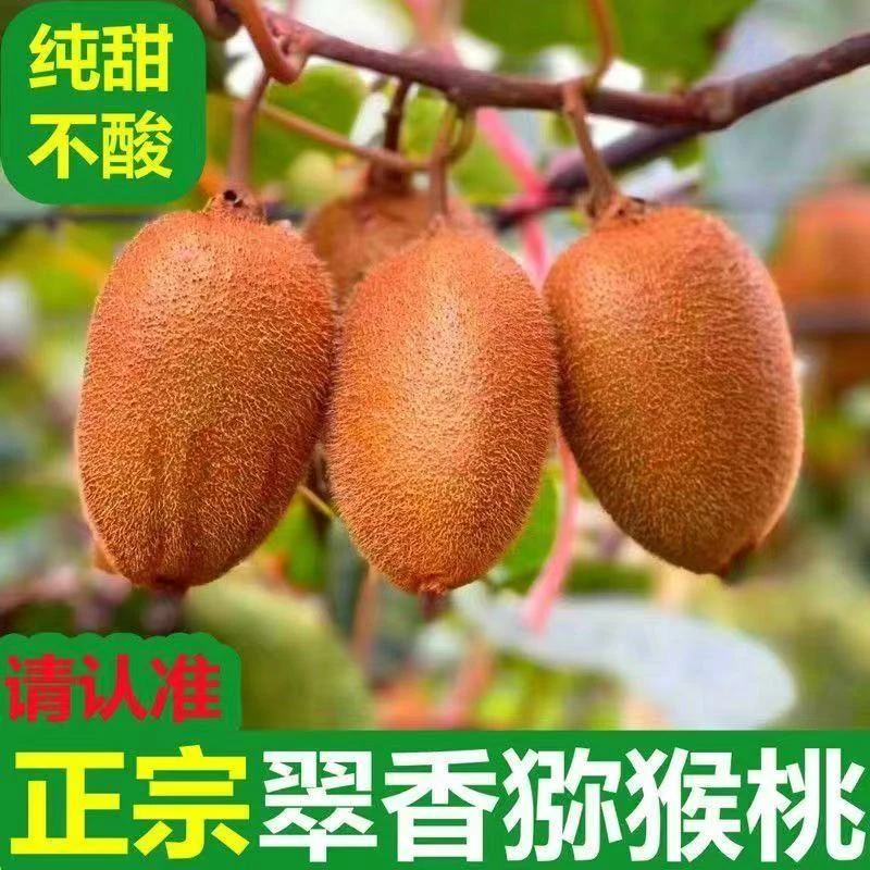陕西翠香猕猴桃绿心新鲜健康当季水果香甜果园直供当天现摘现发