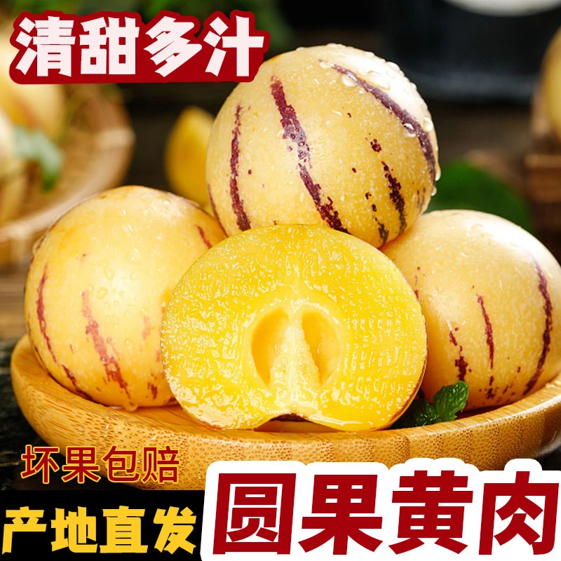 云南石林新鲜应季人参果果黄肉圆果清甜多汁孕妇水果