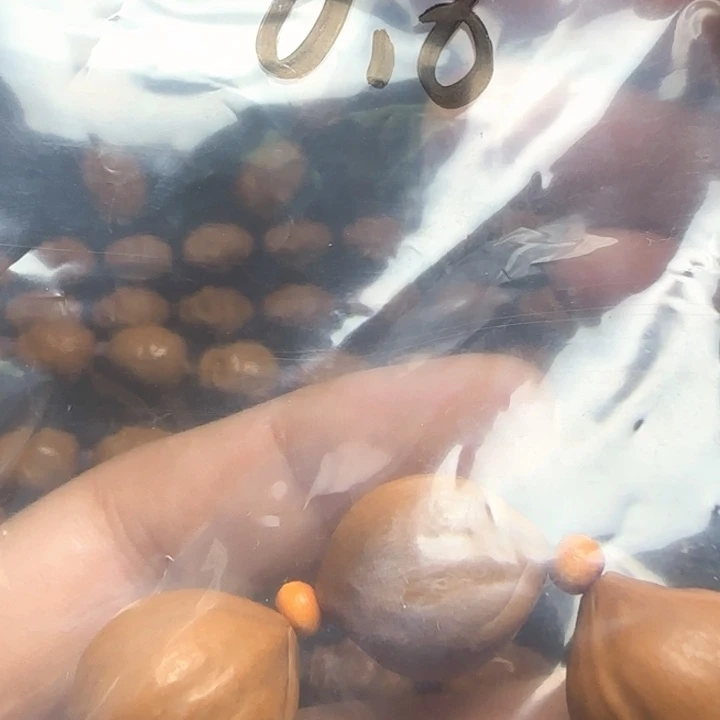橄榄核手串/手链你好