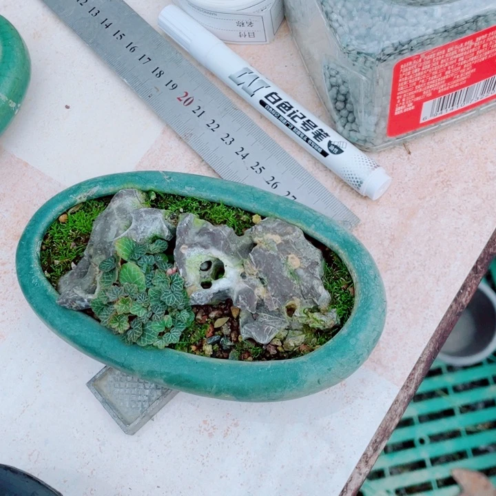 忘**湖虎儿22222222