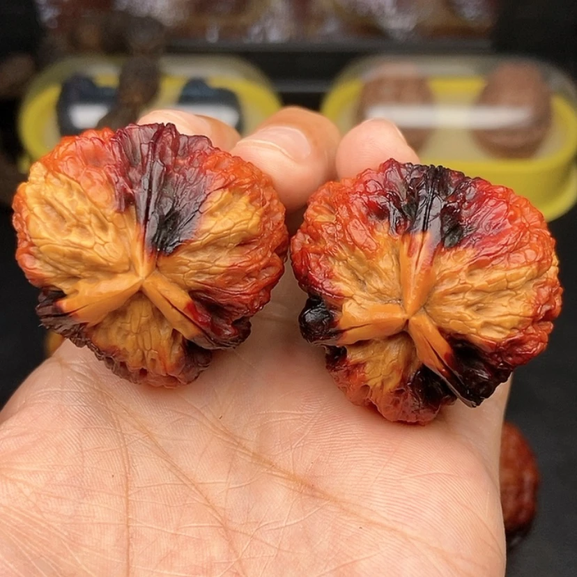 【闪购商品】文玩核桃把件39尺七彩三棱狮子