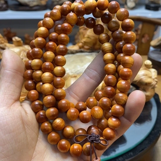 柏木（崖柏）太行崖柏