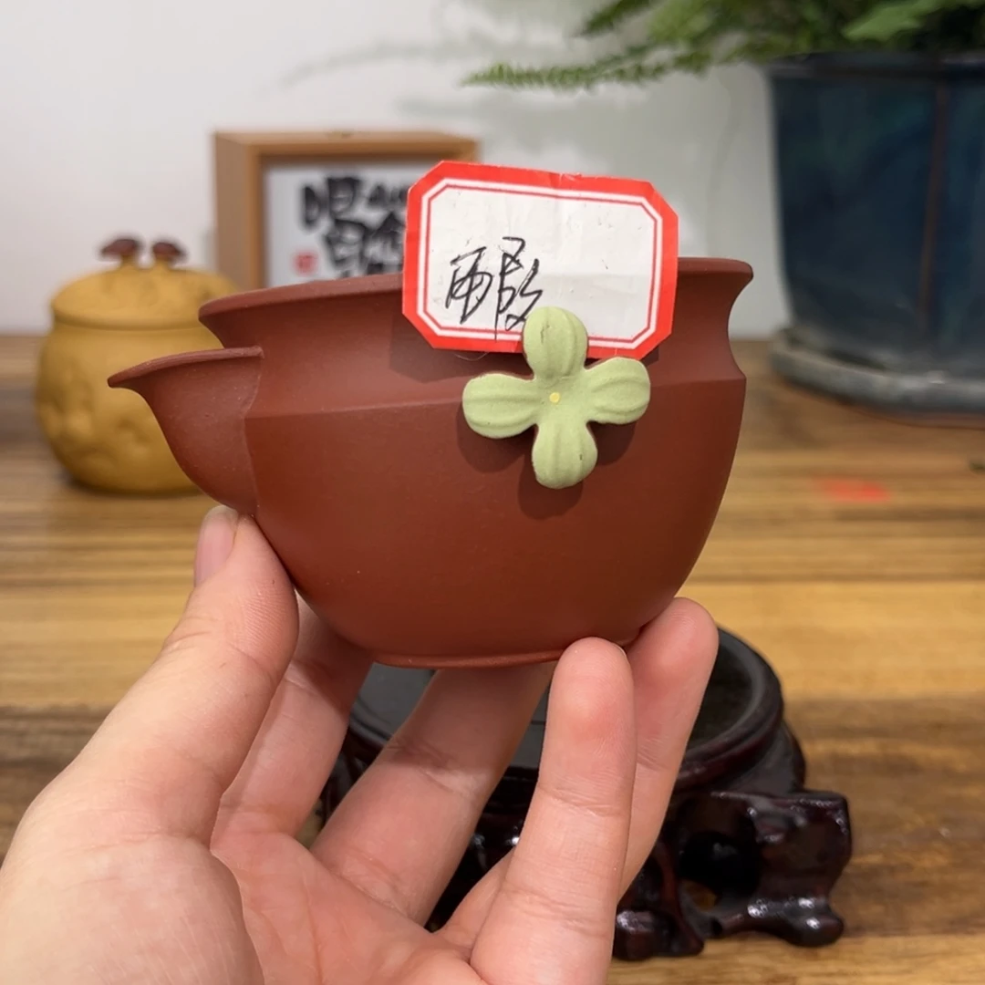 茶杯紫砂紫砂杯红清水