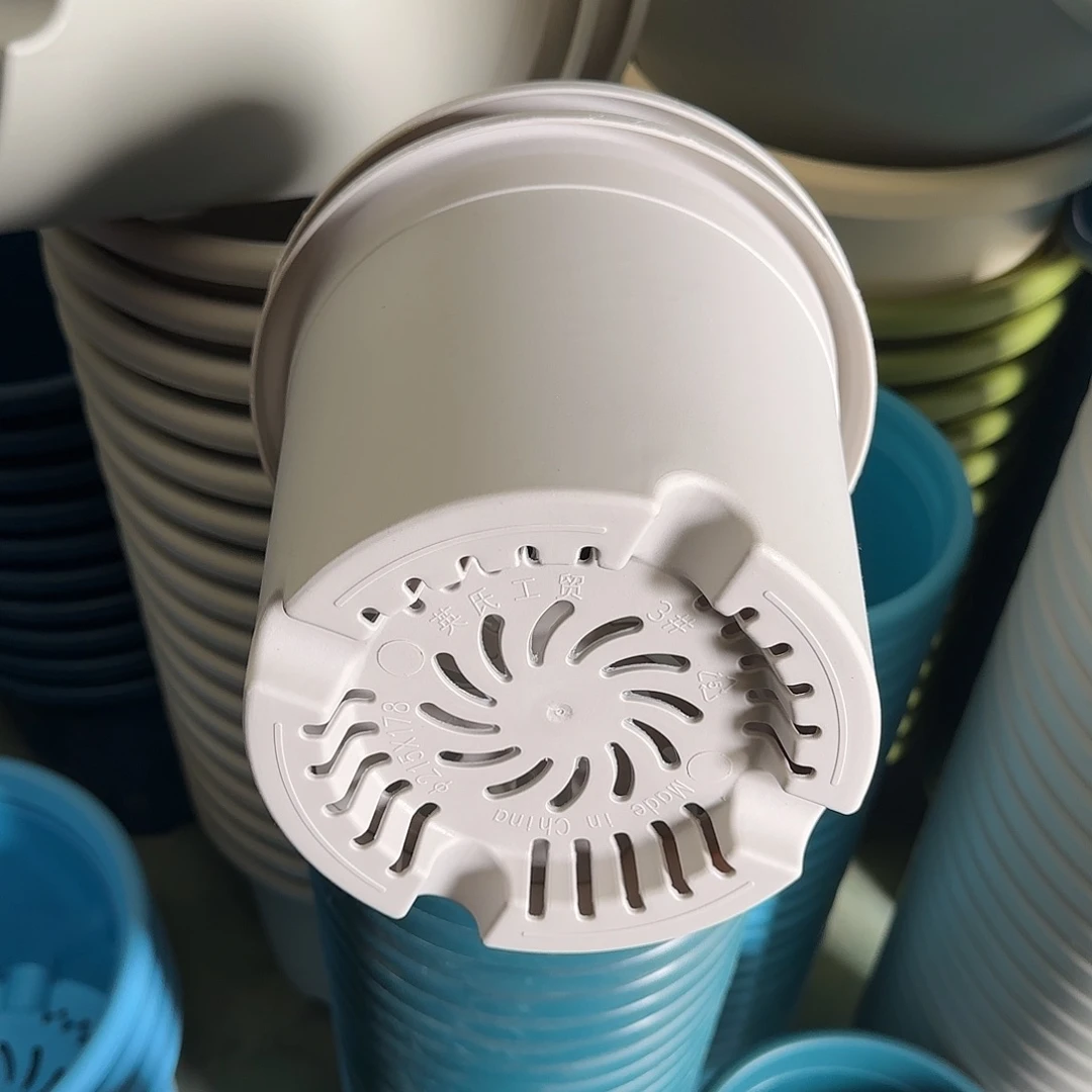 树脂四季3号无托10个灰白