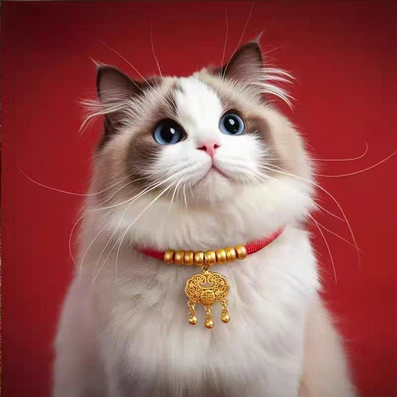 宠物项链平安锁猫狗项圈长命锁高颜值喜庆项项链升级不掉色可调节