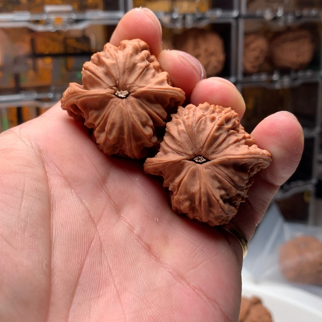 桃核把件?*?磨盘 666888