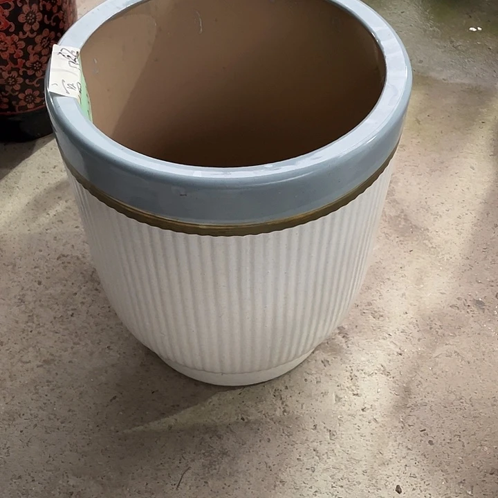 我是一只小小鸟地域鬼的人生观