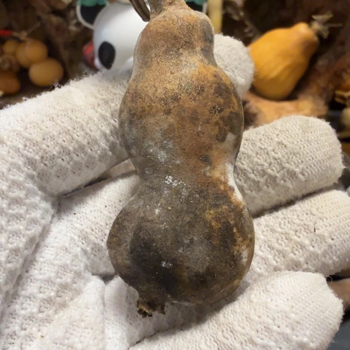 小***豹666677777777778788888