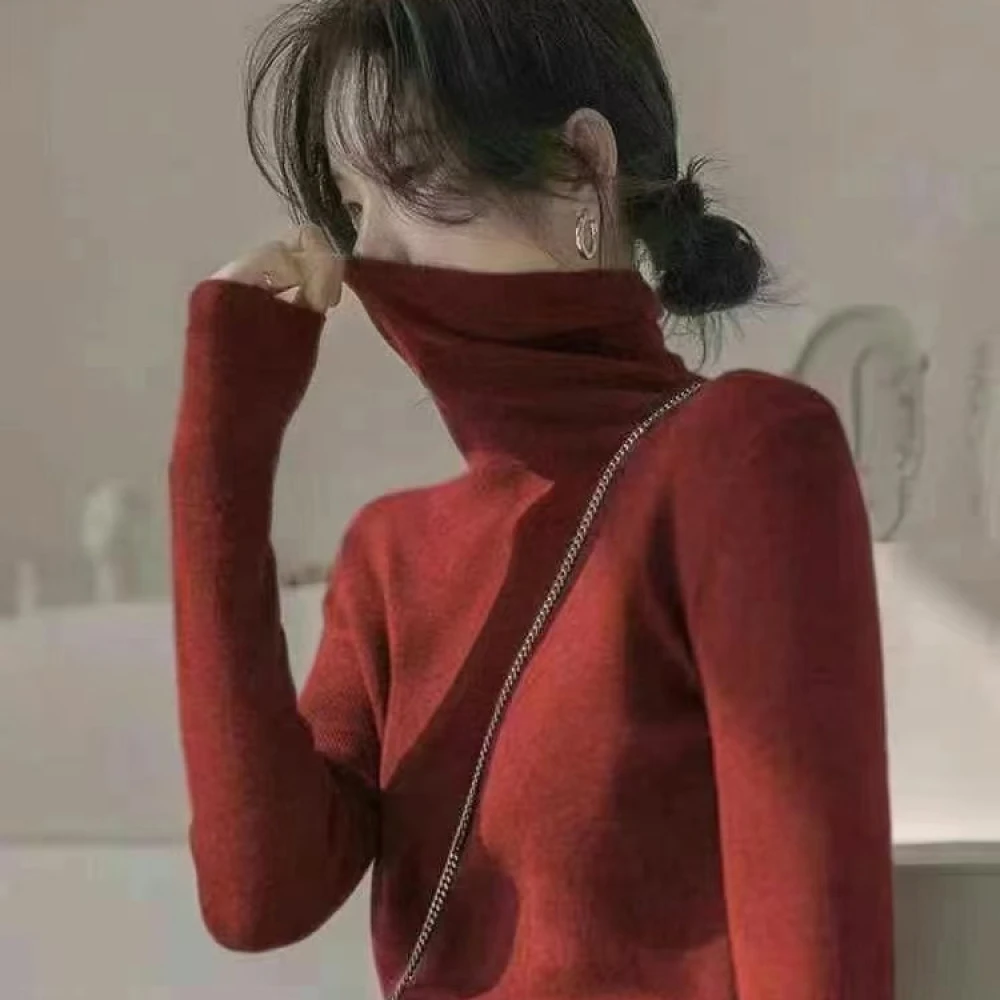 【 雨•美 推荐 】1101韩版修身高领打底长袖上衣