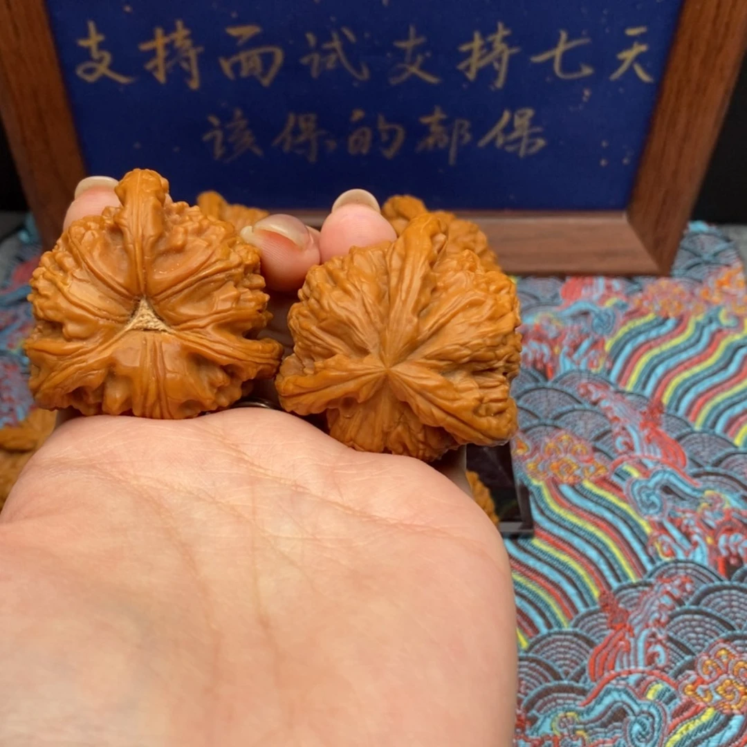 【闪购商品】斌*白狮