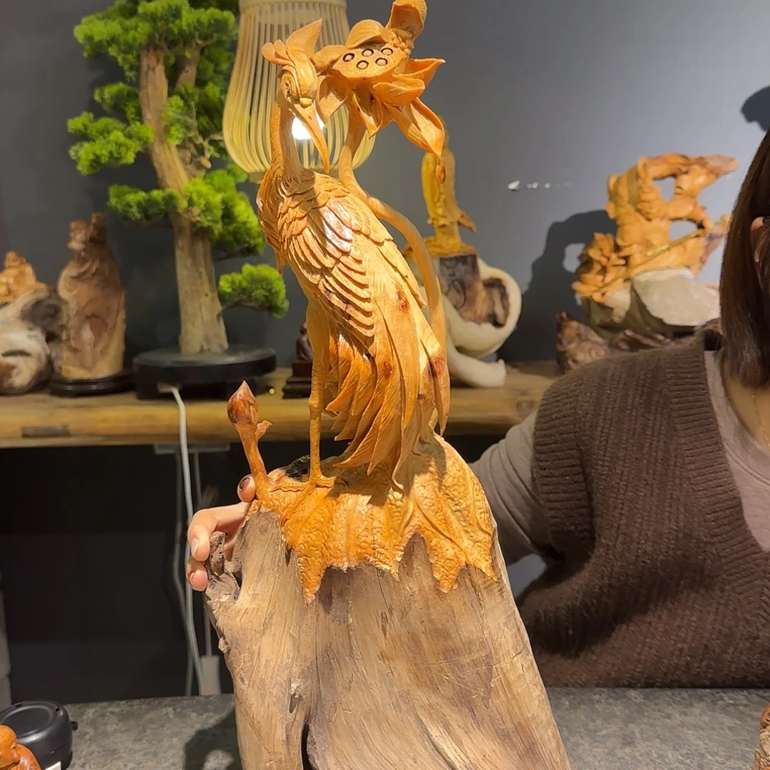 柏木（崖柏）太行集团