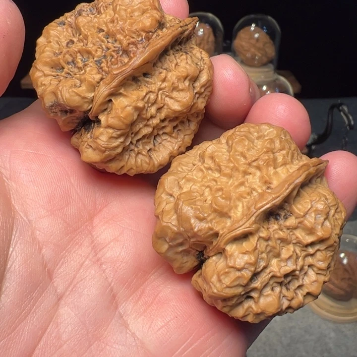 文玩核桃把件d****s达摩古蟾43mm