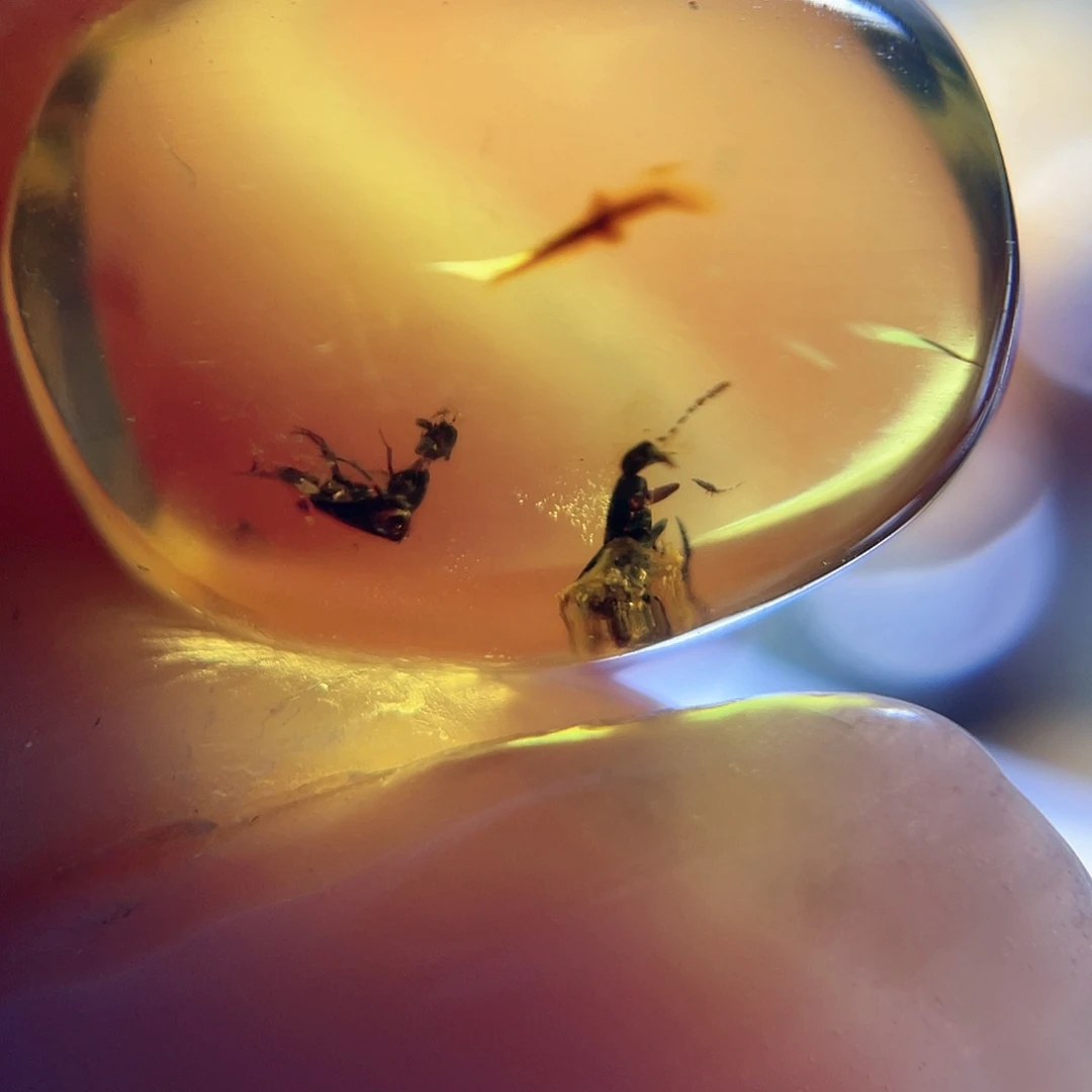 琥珀裸石未镶嵌。