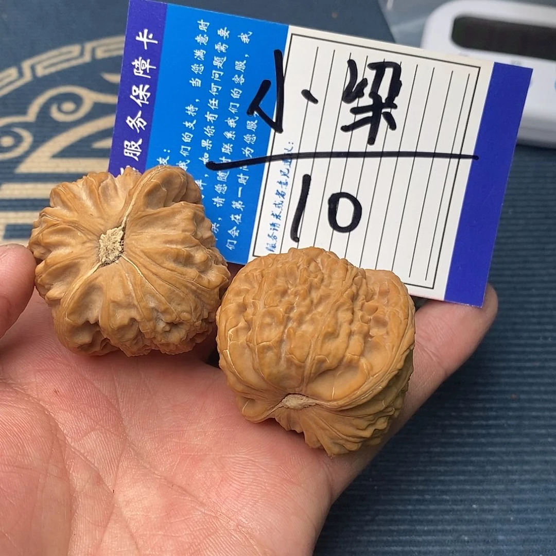 小****饭白狮子68865886686898