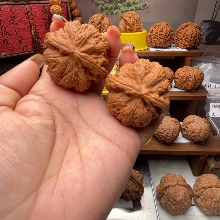 核桃粗筋45+全品5016