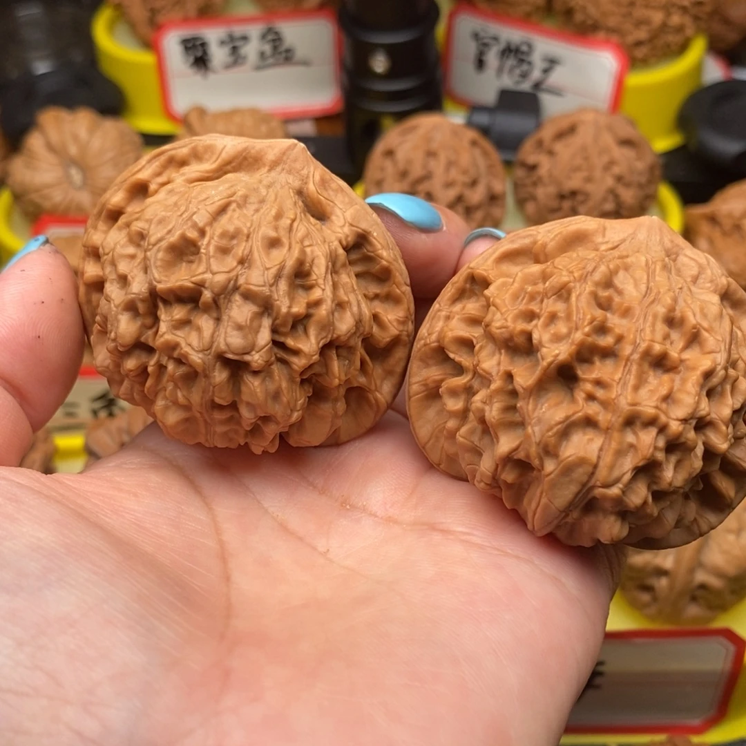 菩提籽类官帽王王