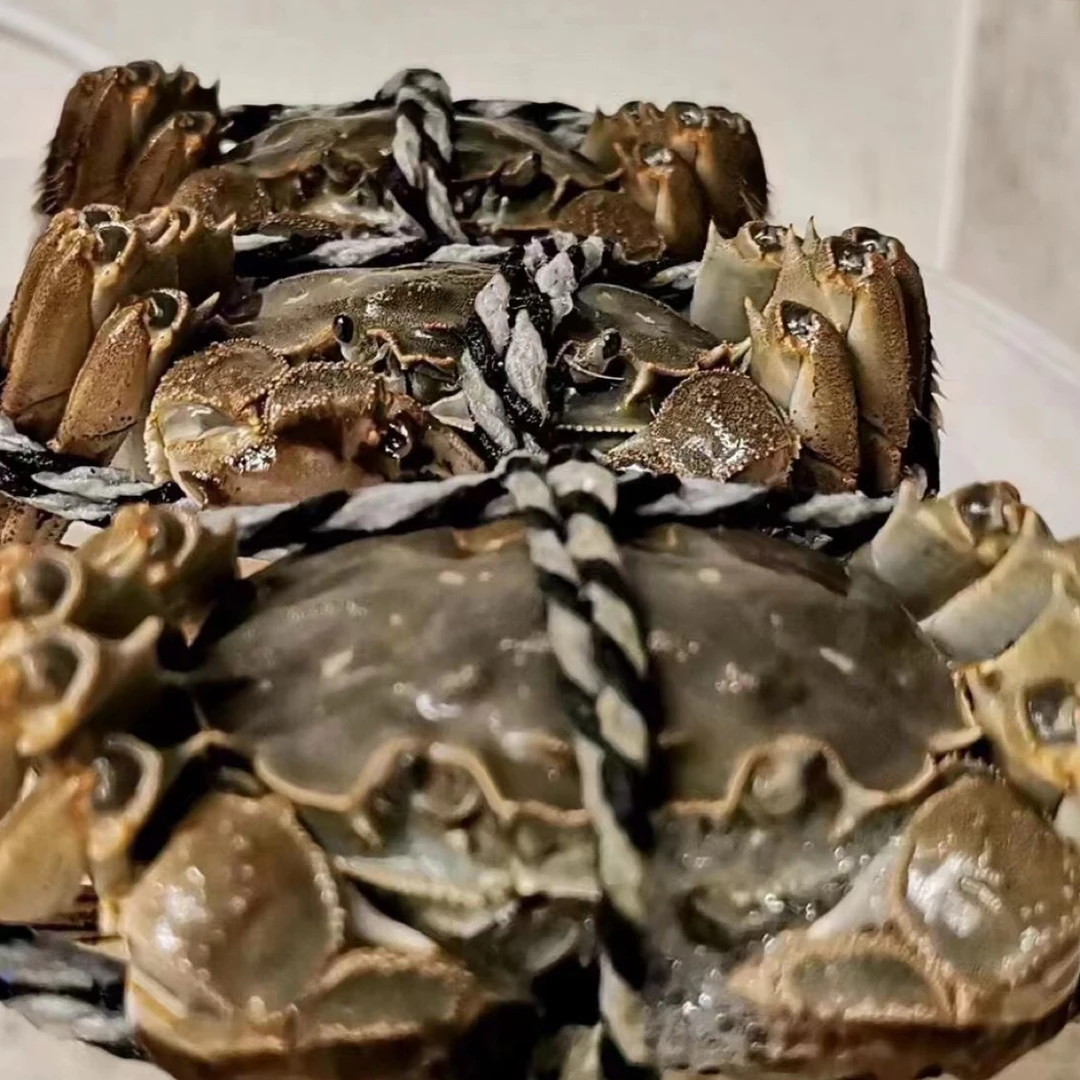 （3.5两母蟹一只）鲜活江苏大闸蟹