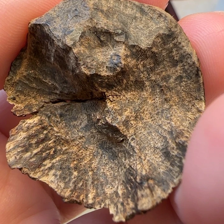 摆件沉香老海南沉水包头3克
