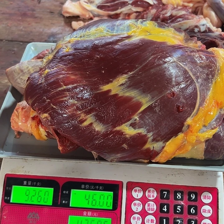 广西土耕马马肉、送马油沙姜小米辣12个月中国大陆