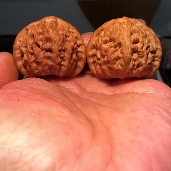 有机玻璃43.5老树宫灯