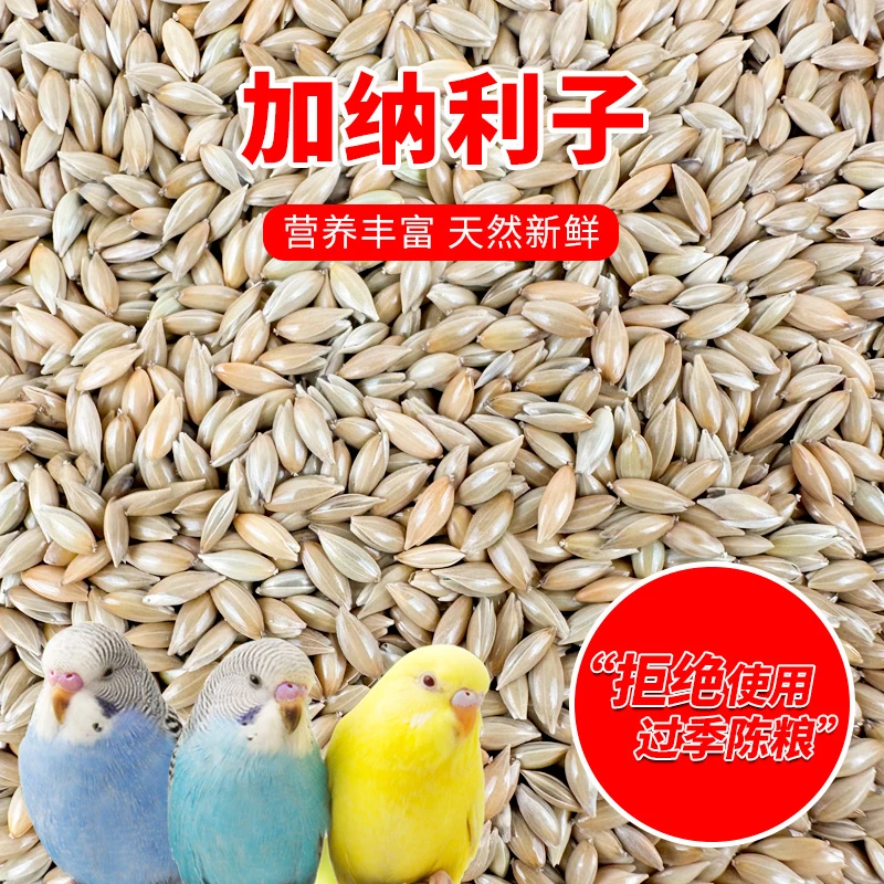 鹦鹉鸟食饲料加纳利子白尖粟金丝雀玄凤虎皮抗寒黄雀高蛋白鸟粮