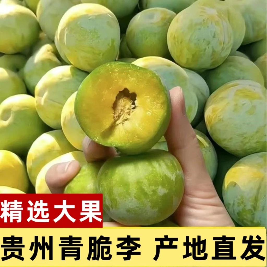 正宗贵州脱骨青脆李新鲜应季水果脆甜多汁现摘现发孕妇水果