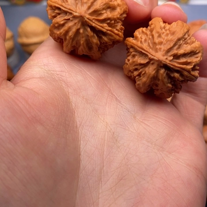 文玩核桃把件九龙筋