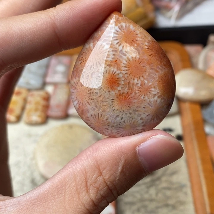 @***】颈饰未镶嵌硅化珊瑚（珊瑚玉）