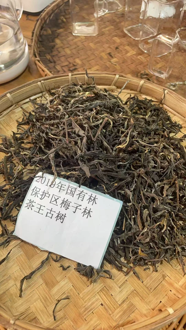 古树散茶19年国有林保护区梅子林茶王古树GT110SDB8418FT59-123