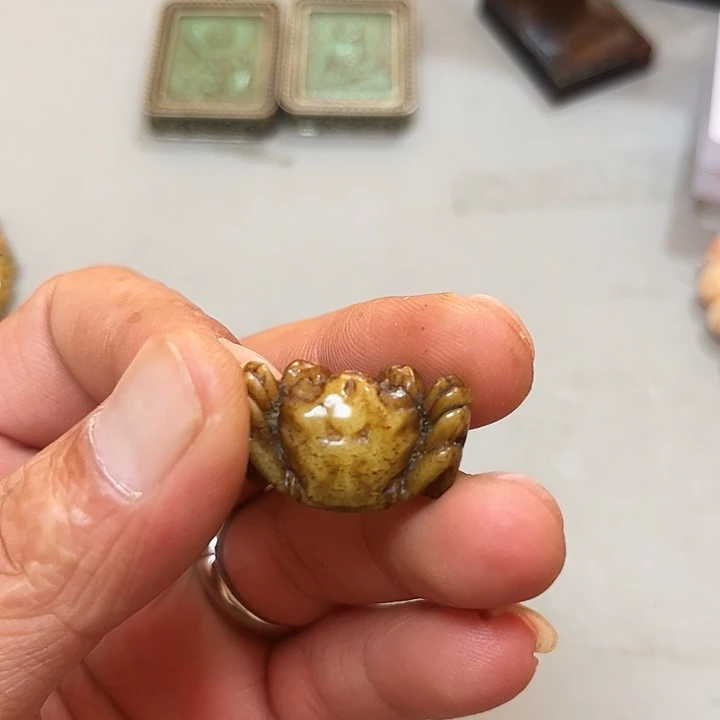 大果紫檀（缅甸花梨）