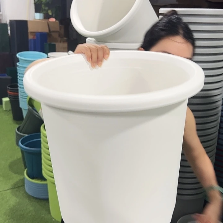 特价8号四季口39高37白色5只无托