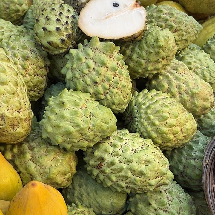 中国大陆释迦果5斤