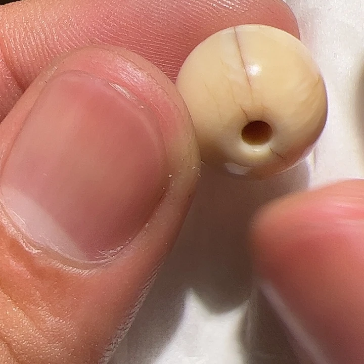 香榧木你是否也有