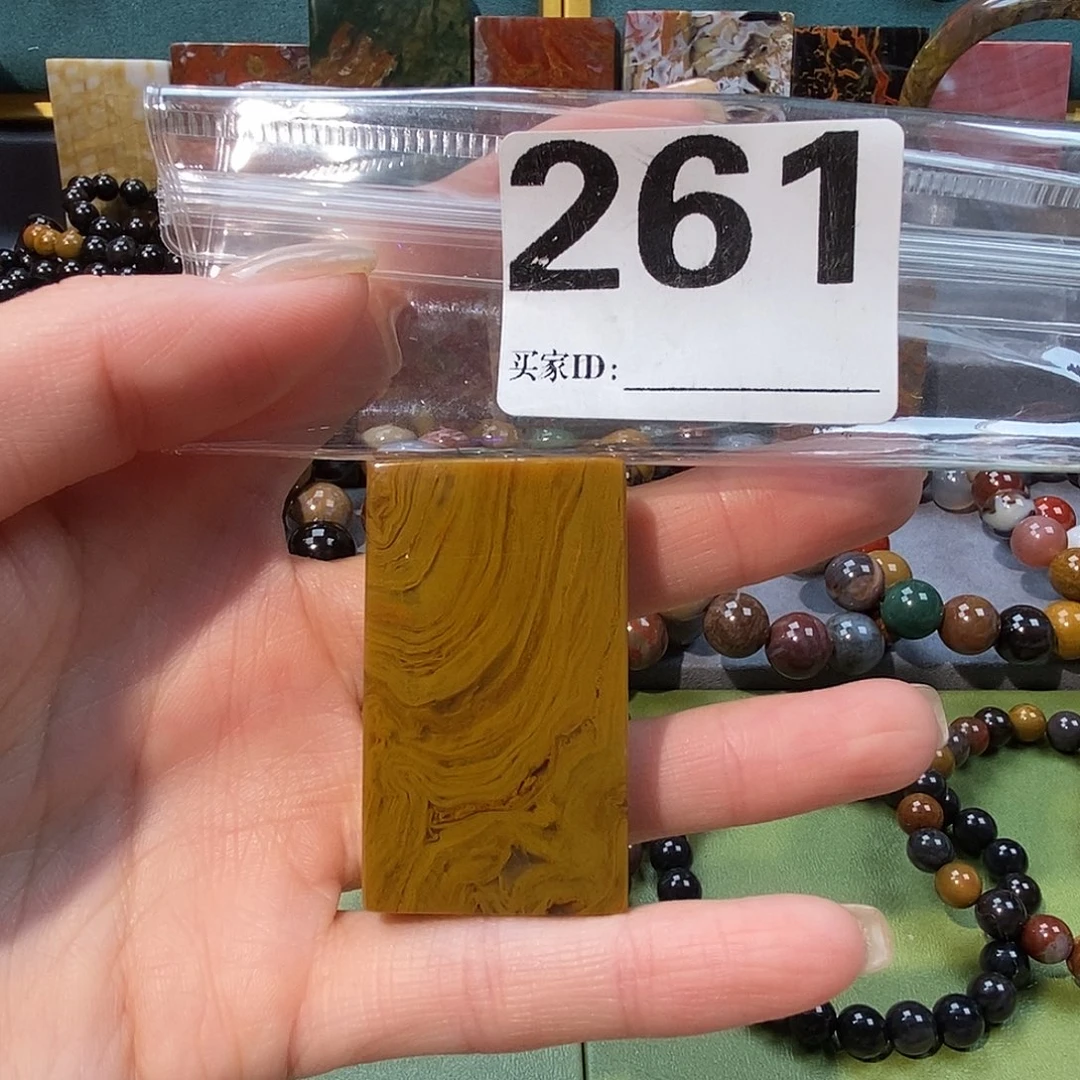 未镶嵌天然北票树化玉吊坠硅化玉