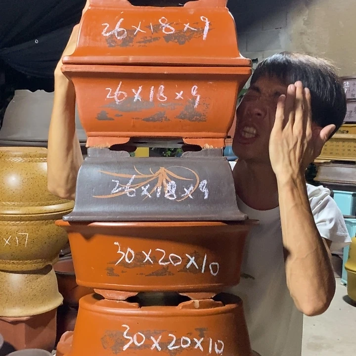 紫砂紫砂紫砂紫砂