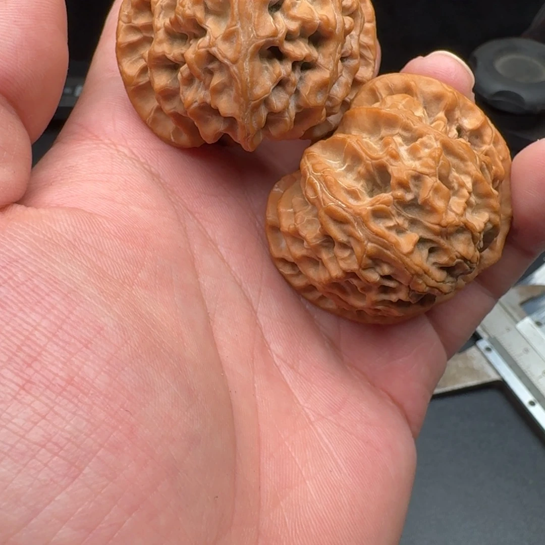 鹦***豆手串/手链核桃085