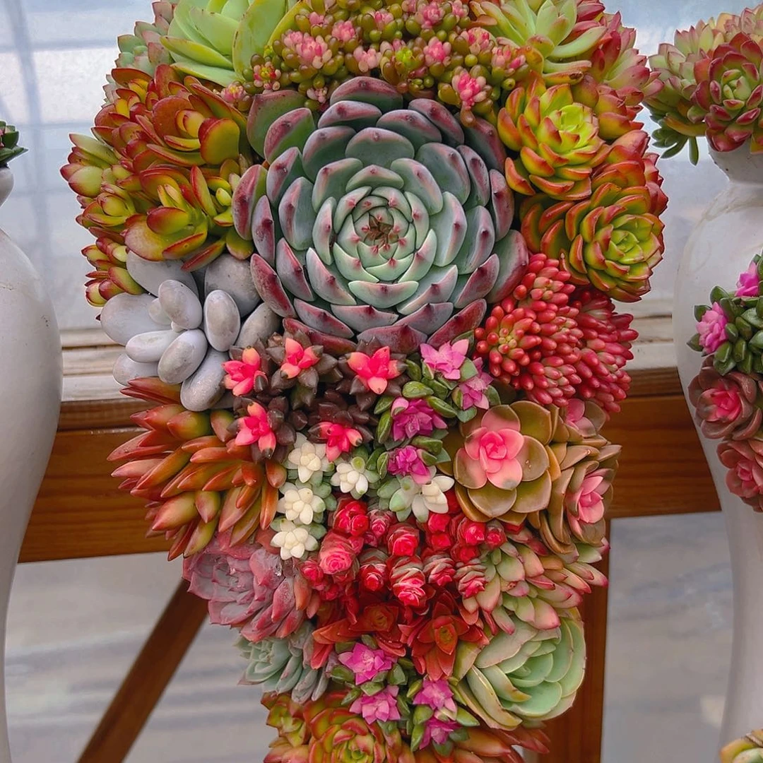 122福满堂多肉组合花园