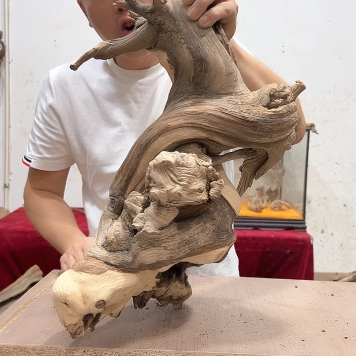 柏木红****发我们的生活是以自己为