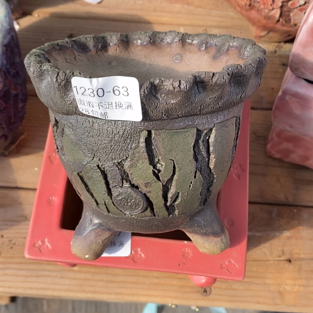 63号花盆内11高11