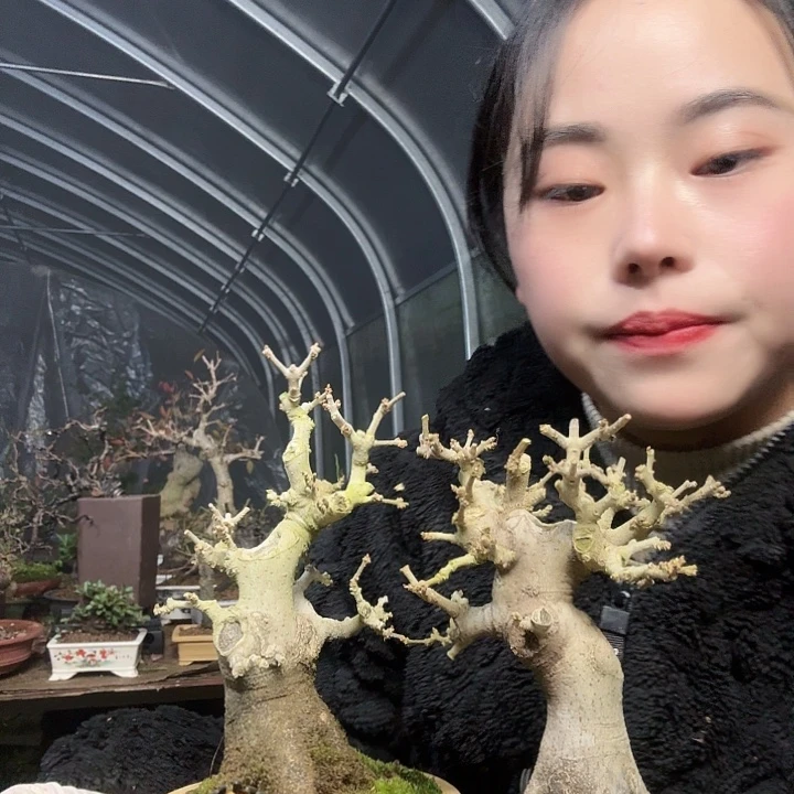 马***之无花朵1111111111