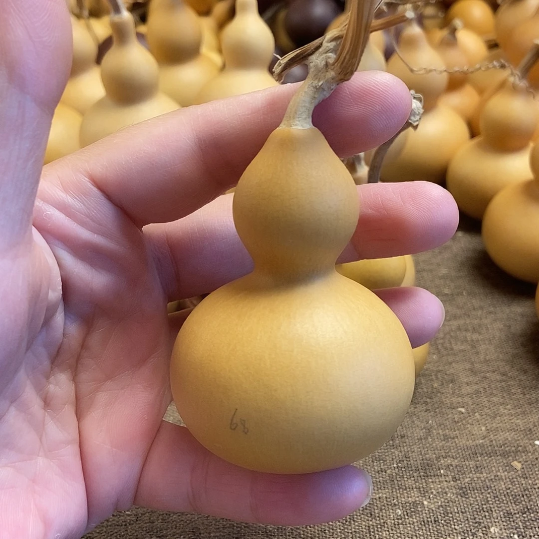 文玩葫芦 完美主义者 慎拍68