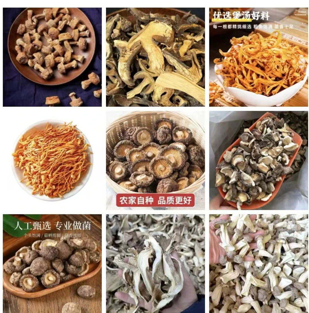 B02备用链接 高端品质 香菇菌子 现货山货